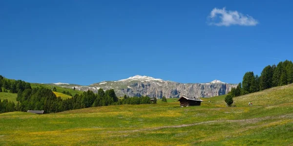 Seiseralm Com Sopé Schlern Fundo — Fotografia de Stock