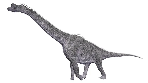Computer Generato Illustrazione Con Dinosauri Brachiosauro Isolato Sfondo Bianco — Foto Stock