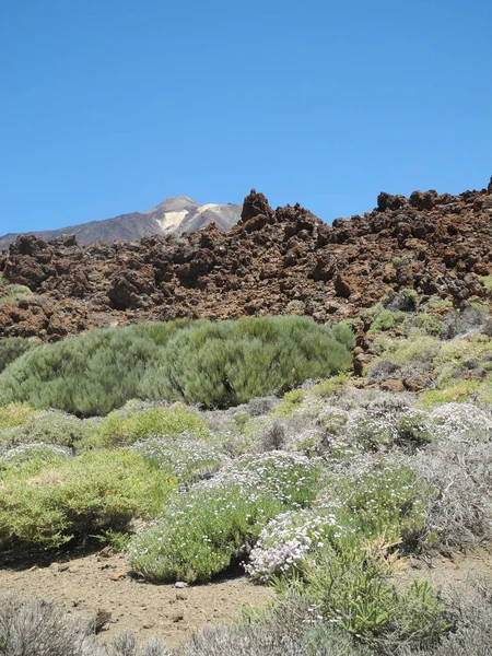 Teneriffa Roques Garcia Teide Pico Del Teide Rock Kanarischen Kanarischen — Stockfoto