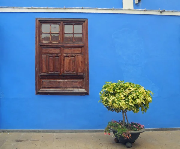 Ventana Pared Casa Azul Pared Casa Arquitectura Garachico Tenerife Colorido — Foto de Stock
