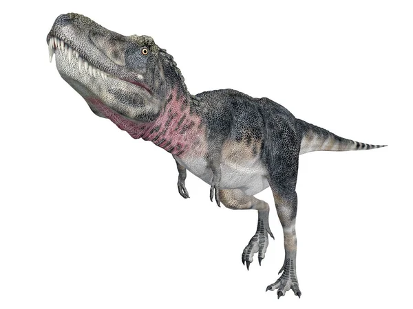 Bilgisayar Beyaz Arkaplanda Izole Edilmiş Dinozor Tarbosaurus Ile Illüstrasyon Oluşturdu — Stok fotoğraf