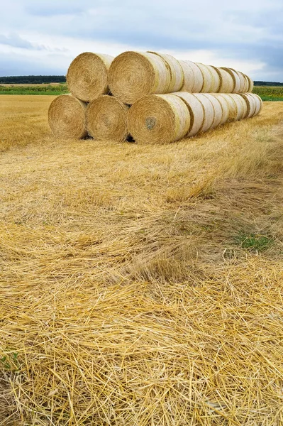 Bála Szalmabálák Mezőn — Stock Fotó