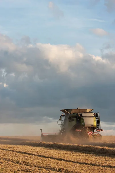 穀物収穫 農業収穫時間 — ストック写真