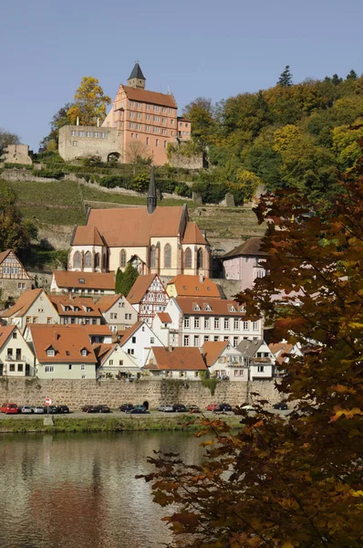 Burg Staghorn Hesse Neckar Neckar Valley Odenwald City Location Nearby —  Fotos de Stock