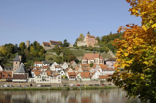 Burg Hirschhorn Hessen Neckar Neckartal Odenwald Town Ort Village Fortress — Foto de Stock