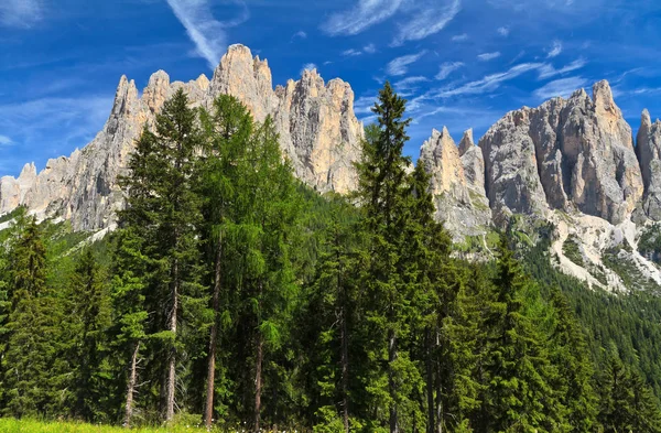 Paisagem Verão Dolomitas Italianas Vaiolet Valley Background Catinaccio Mount Trentino — Fotografia de Stock