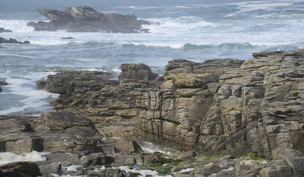 Cote Sauvage Quiberon Brittany France Coast Shore Rocks Rough Wave — Stock Photo, Image