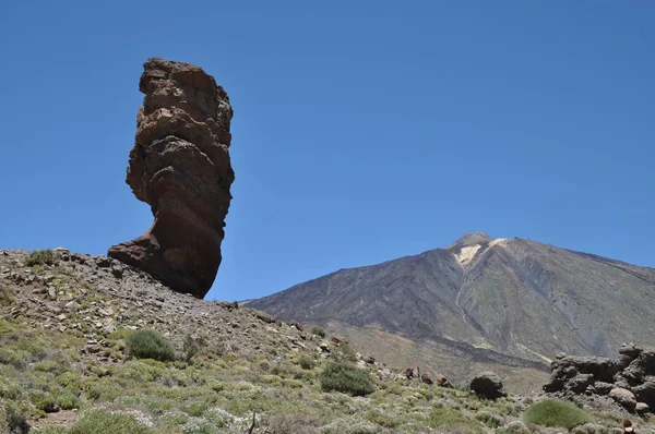 Roque Cinchado Teide Pico Del Teide Teneriffa Roques Garcia Steinbaum — Stockfoto