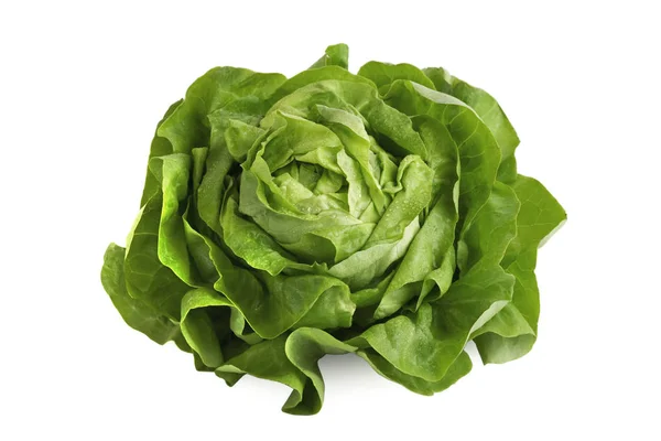 Ensalada Hoja Verde Aislada Sobre Fondo Blanco — Foto de Stock