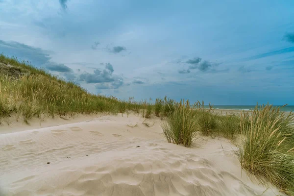 Panoramisch Uitzicht Duinen Selectieve Focus — Stockfoto