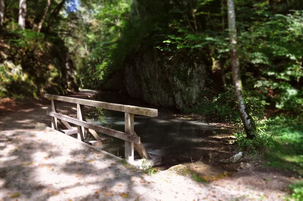 Hiking Trail Stream — Stock Photo, Image