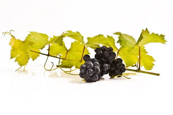 Frische Rote Trauben Mit Weinblättern Auf Weißem Hintergrund — Stockfoto