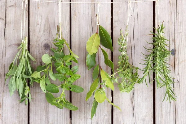 Herbs Bunches Old Wooden Wall — Stock Photo, Image