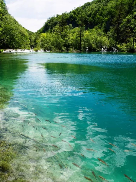 Lagos Plitvice Parque Nacional — Fotografia de Stock