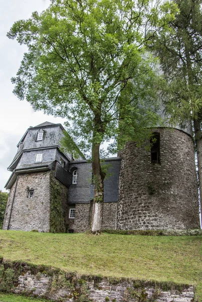 Malebný Pohled Majestátní Středověkou Hradní Architekturu — Stock fotografie