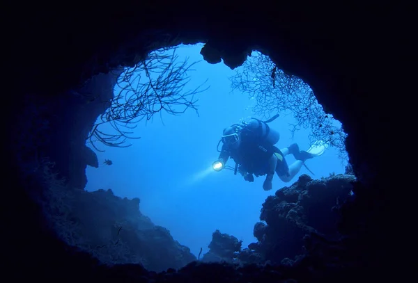 Taucher Eingang Einer Unterwassergrotte Malediven Südliches Männliches Atoll — Stockfoto