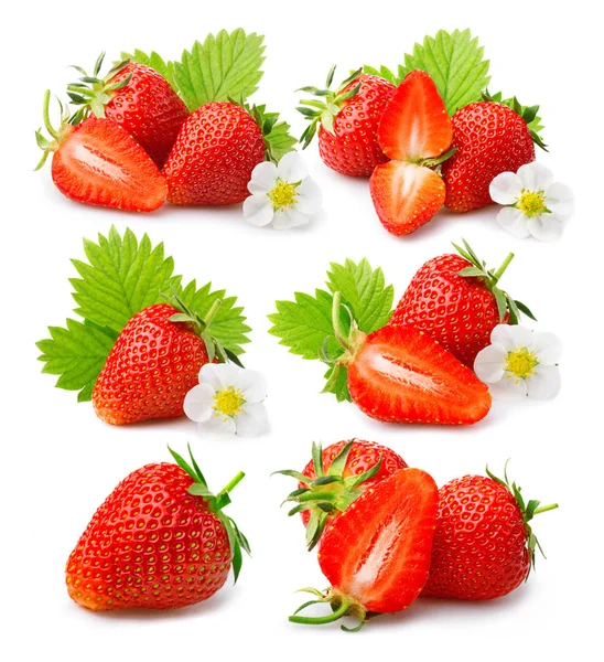 Erdbeeren Mit Blättern Und Blüten Isoliert Auf Einem Weißen — Stockfoto