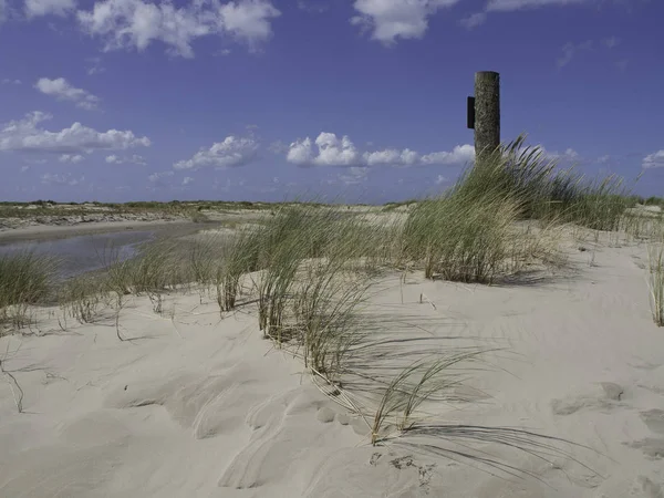 Mooie Spiekeroog Natuurlijke Achtergrond — Stockfoto