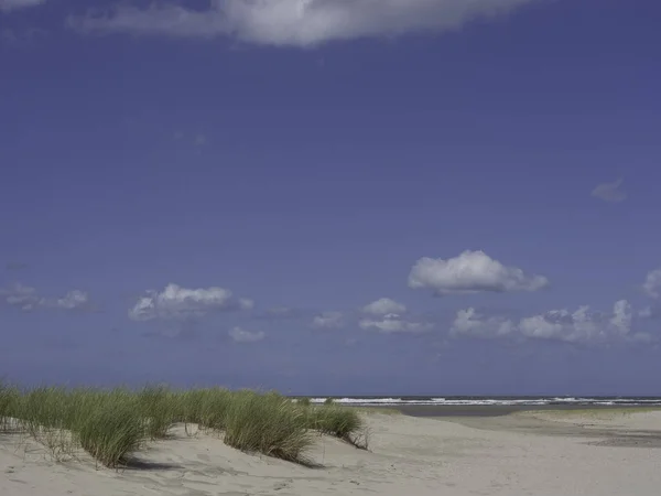 Piękne Spiekeroog Naturalne Tło — Zdjęcie stockowe