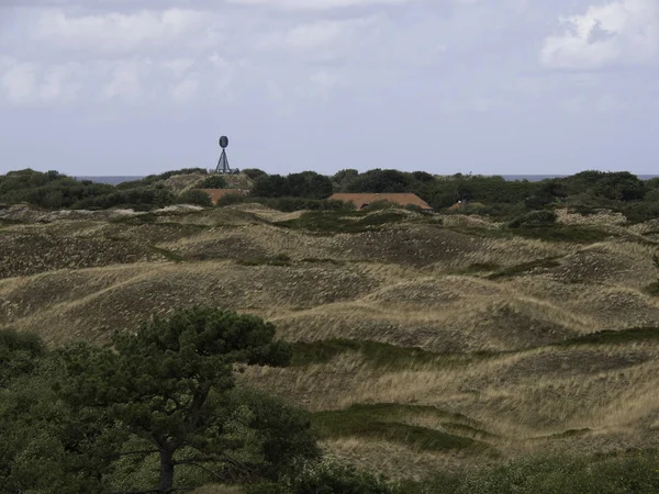 Vacker Spiekeroog Naturlig Bakgrund — Stockfoto