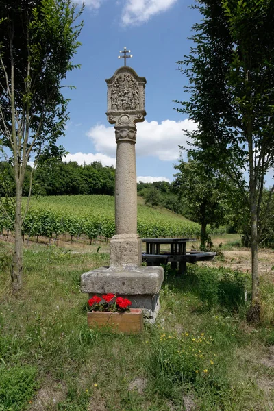 Viticultura Cerca Falkenstein Distrito Schweinfurt — Foto de Stock