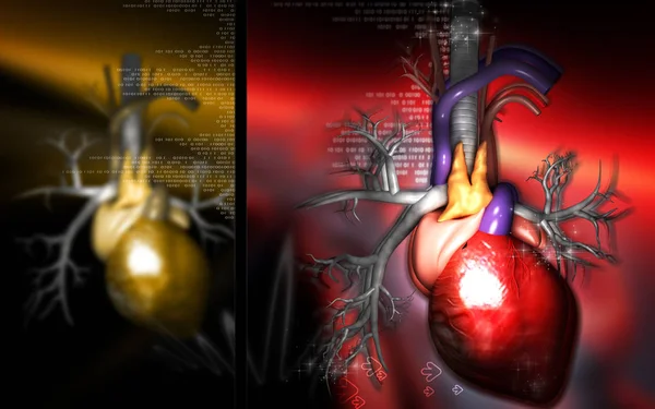 Digital Illustration Heart Colour Background — 图库照片