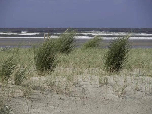 Naturskön Utsikt Över Vackra Spiekeroog — Stockfoto