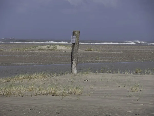 Schöne Aussicht Auf Spiekeroog — Stockfoto