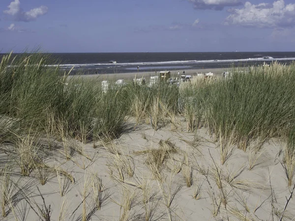 Landelijk Uitzicht Het Prachtige Spiekeroog — Stockfoto