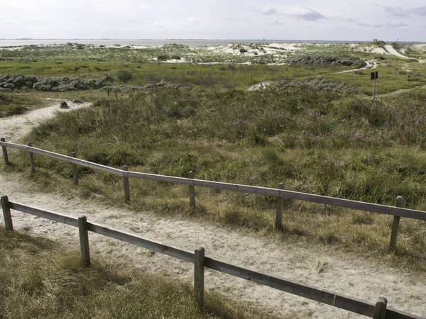 Malerischer Blick Auf Dünen Selektiver Fokus — Stockfoto