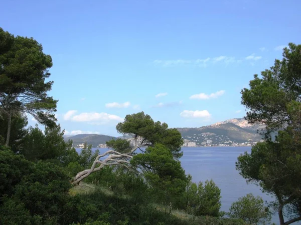 Mediterrane Landschaft Santa Ponsa — Stockfoto