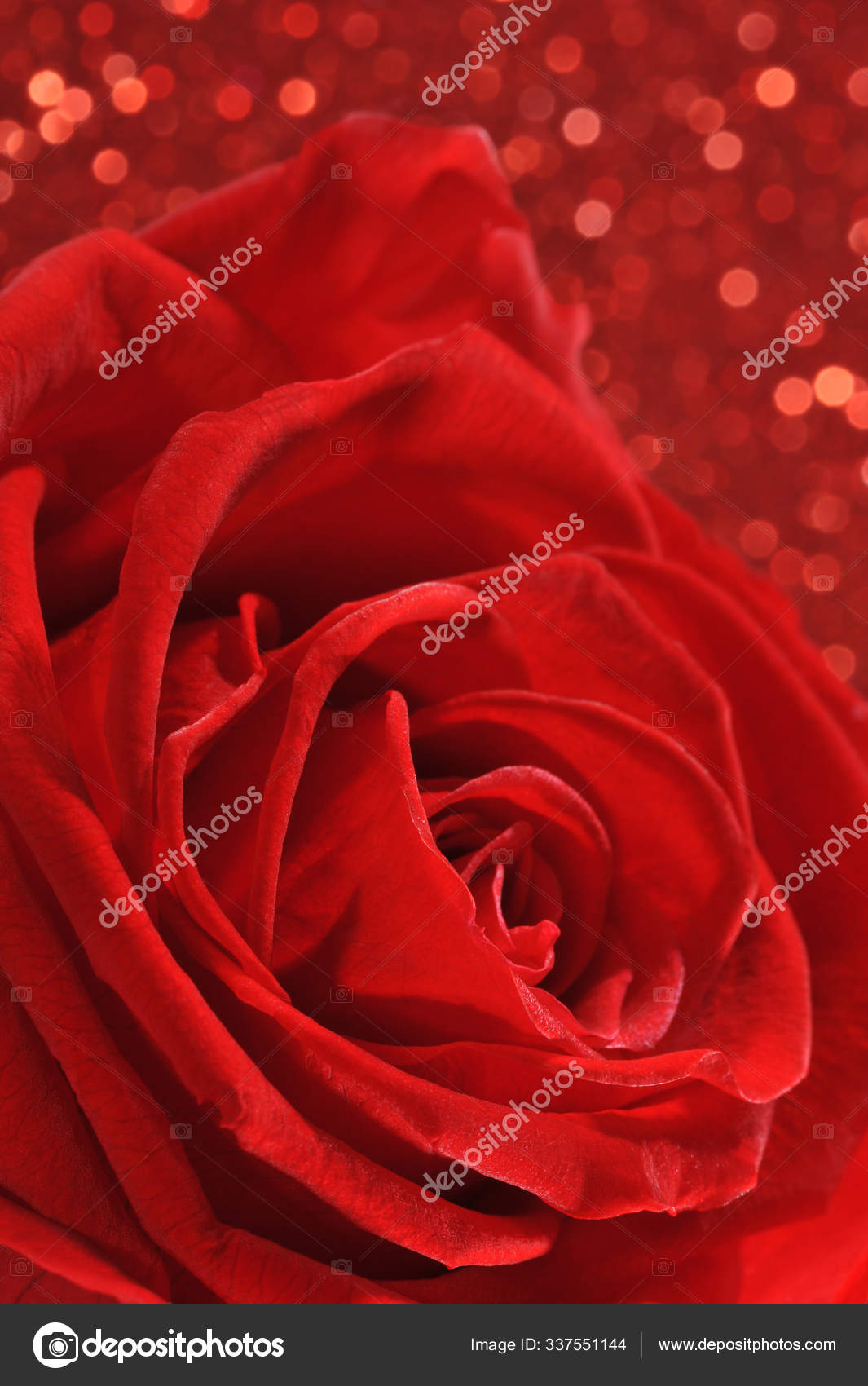 Red Rose Red Glitter Background Stock Photo by ©PantherMediaSeller