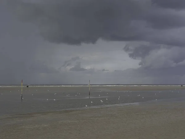 Malerischer Blick Auf Dünen Selektiver Fokus — Stockfoto