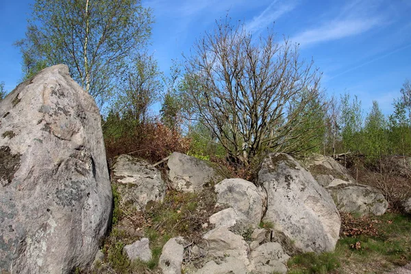 Dans Clairière Avec Grosses Pierres — Photo