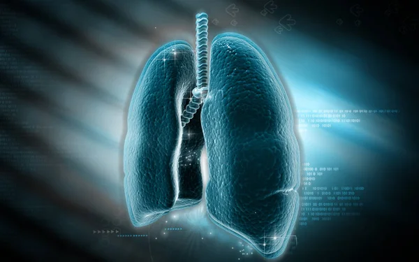 Digital Illustration Human Lungs Colour Background — Stock Photo, Image