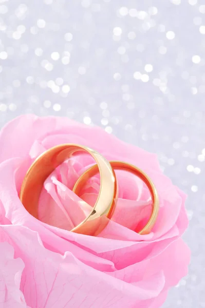 Two Gold Rings Rosaner Rose Silver Glitter Background — Stock Photo, Image