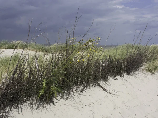 Landelijk Uitzicht Het Prachtige Spiekeroog — Stockfoto