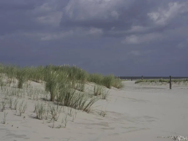 Scenic View Dunes Selective Focus — Stock Photo, Image