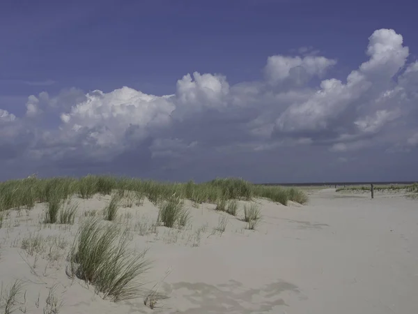 Malerischer Blick Auf Dünen Selektiver Fokus — Stockfoto