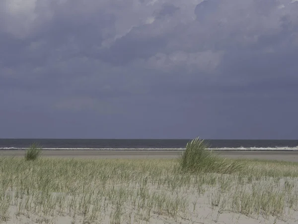 Malerischer Blick Auf Dünen Selektiver Fokus — Stockfoto