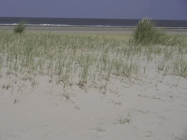 Vue Panoramique Des Dunes Mise Point Sélective — Photo