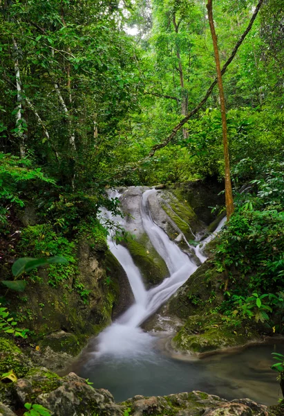 Beautiful Waterfall Nature Background — Stock Photo, Image