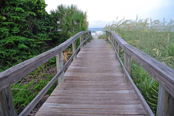 Florida Estado Más Austral Los Estados Unidos Con Atlántico Lado —  Fotos de Stock