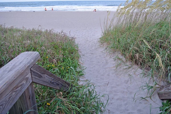 Florida Estado Más Austral Los Estados Unidos Con Atlántico Lado — Foto de Stock