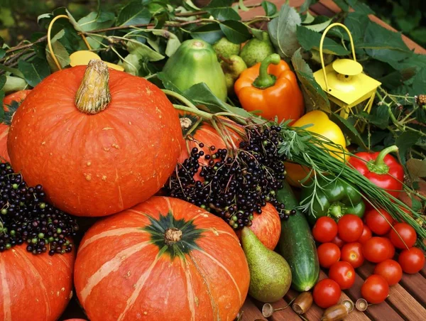 Alimentos Frutas Hortalizas Ecológicos — Foto de Stock