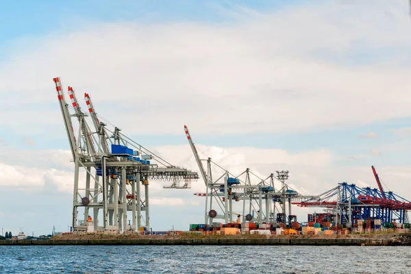 Aussichtsreicher Blick Auf Industrielle Hafenkräne — Stockfoto