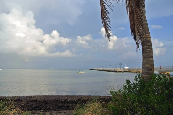 Florida Bir Tarafında Atlantik Diğer Tarafında Meksika Körfezi Ile Amerika — Stok fotoğraf