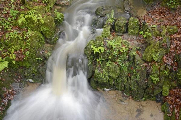 Bach Wasser Strömung Fließend Quelle Wald Natur Süß Trinkwasser Sauber — Stockfoto