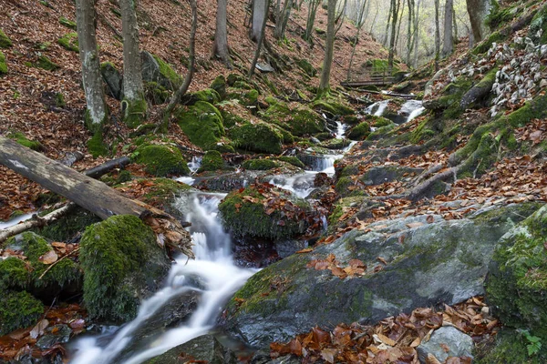 Schilderachtig Uitzicht Majestueus Landschap Met Waterval — Stockfoto