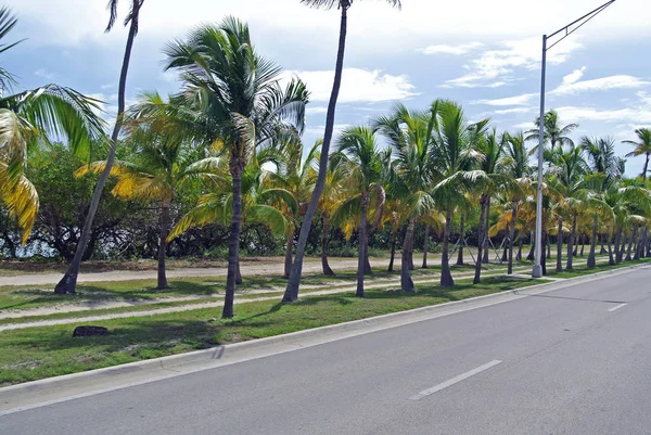 Florida Estado Más Austral Los Estados Unidos Con Atlántico Lado —  Fotos de Stock